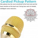 VMKLY Professional Wireless Microphones for Karaoke Singing, Rechargeable Dual UHF Dynamic Microphone, with 200ft UHF Receiver, Plug and Play, Speech, Wedding, Church, PA System